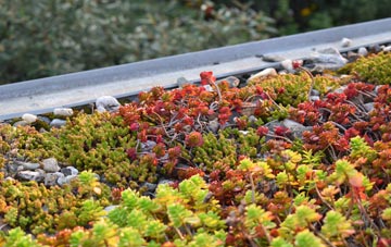 the cost of Braintree green roof installation