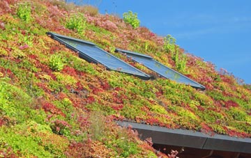 Braintree living roof systems